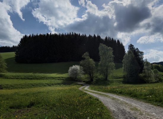 rodova_linie_01_2026_huty_06