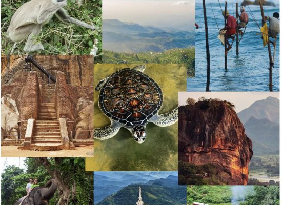 sri_lanka_2026_03_07