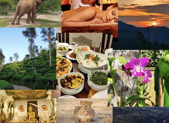 sri_lanka_2026_03_08