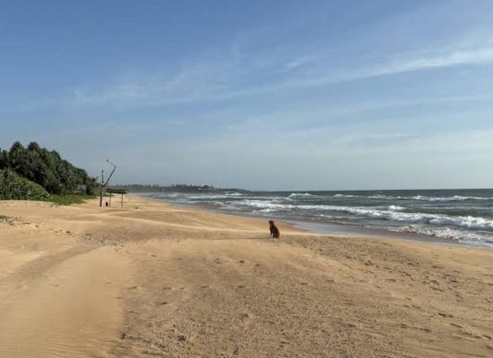 sri_lanka_2026_03_3