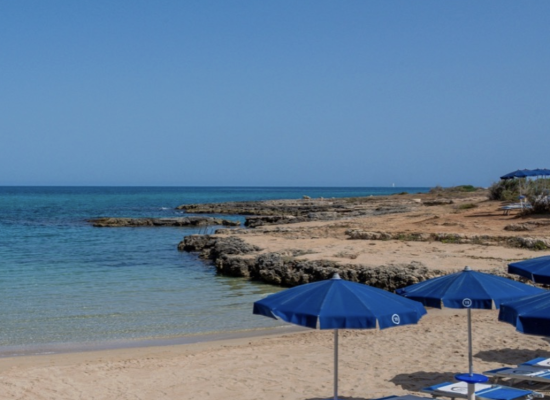 Snímek obrazovky 2026-01-31 v 23.20.10