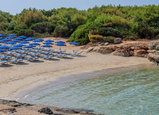 Snímek obrazovky 2026-01-31 v 23.20.18