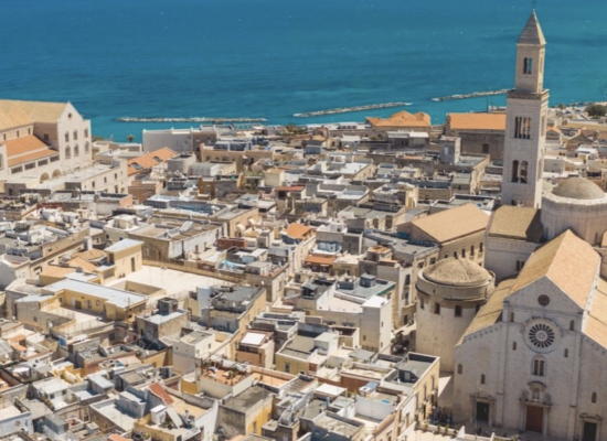 Snímek obrazovky 2026-01-31 v 23.25.17