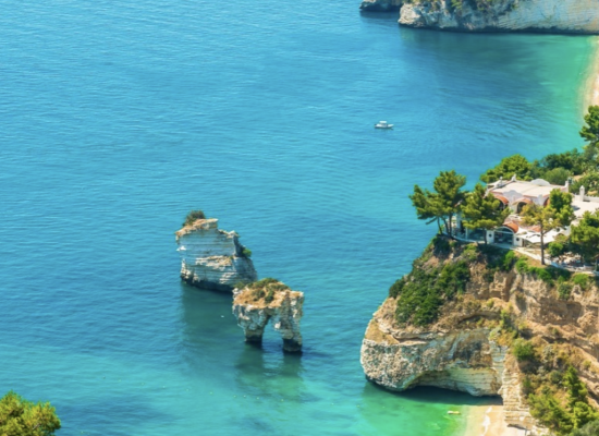 Snímek obrazovky 2026-01-31 v 23.26.34