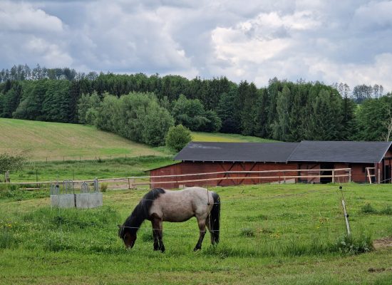 029a6d4d-6faf-4226-8004-b3220e68b889