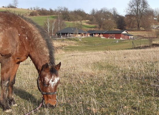 7effc0ac-0c5a-41a0-94ad-ae6aee605282