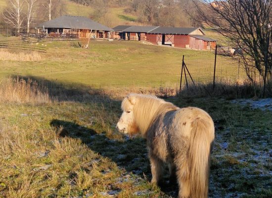 D9EA01FF-8BAE-421D-9CD3-8A83A9DBAE66